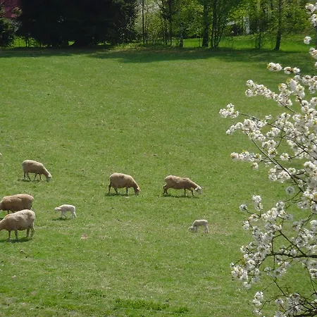 Country house Na Zvonici *