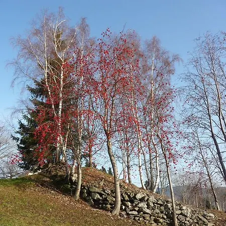 Na Zvonici
