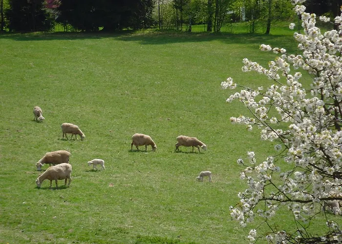 Landsted Na Zvonici *