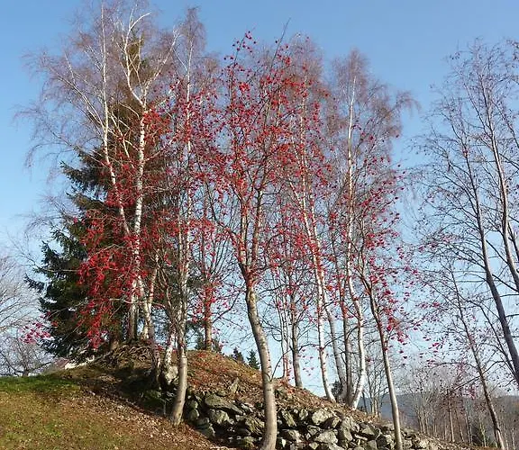Na Zvonici